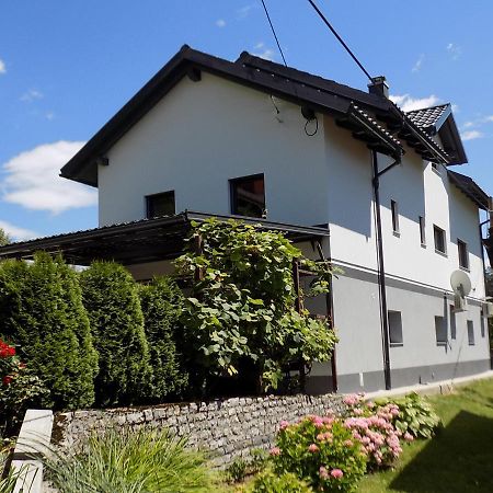 Apartment Pri Ruscu Tolmin Exteriér fotografie